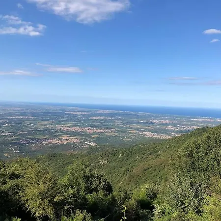 Luxury With Amazing Views In 3200m2 Laroque-des-Albères